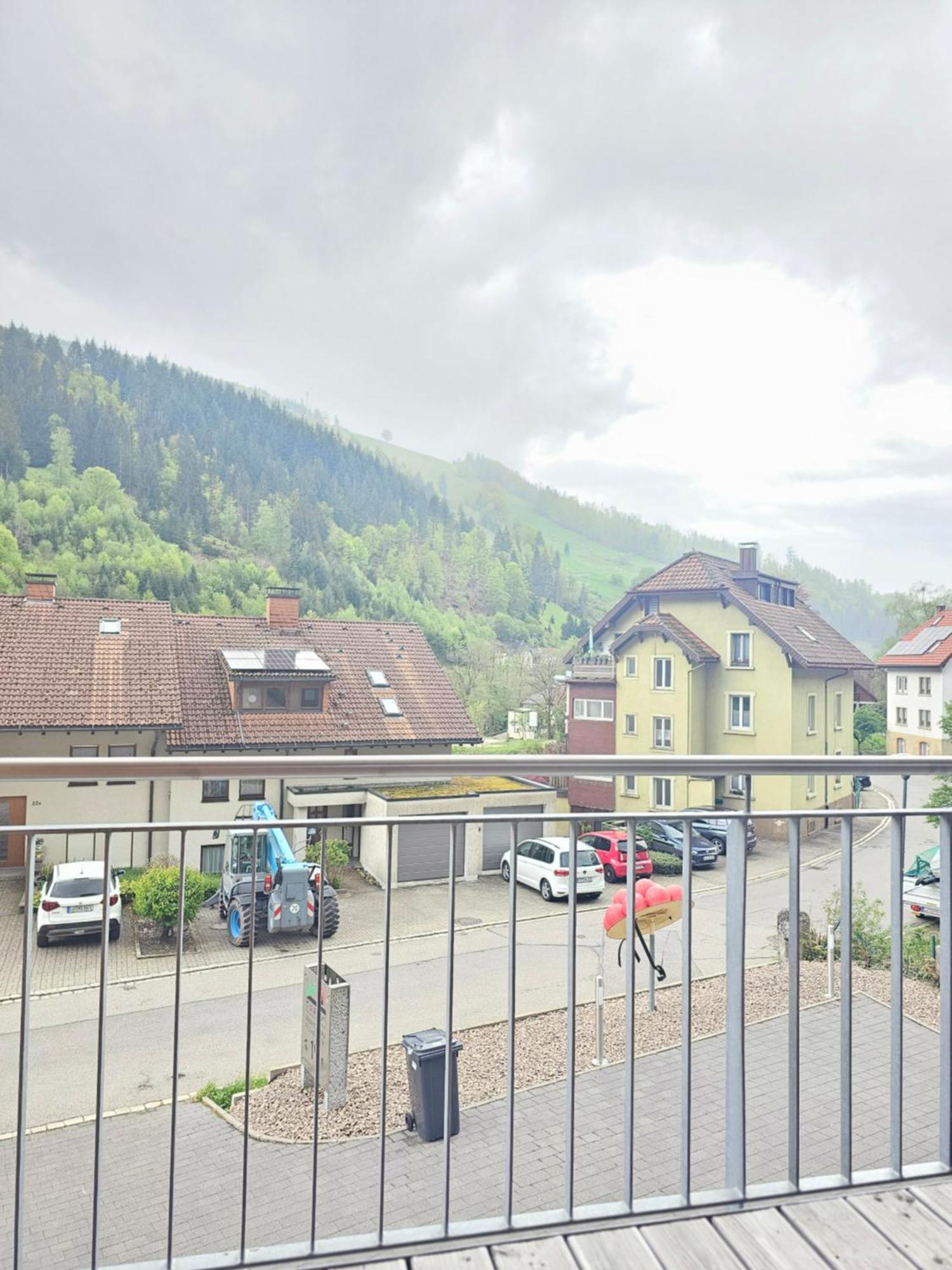 Black Forest I Sauna Auf Dem Balkon I Boxspring I Nespresso I Ausblick I Wasserfaelle Im Ort Todtnau Exteriör bild