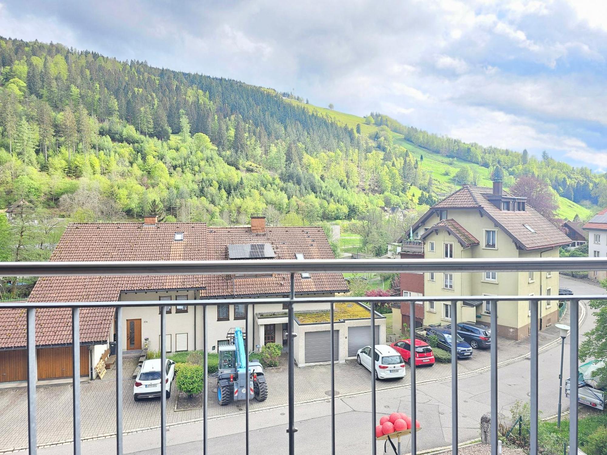 Black Forest I Sauna Auf Dem Balkon I Boxspring I Nespresso I Ausblick I Wasserfaelle Im Ort Todtnau Exteriör bild